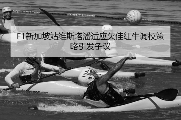 xin-jia-po-zhan-wei-si-ta-pan-shi-ying-qian-jia-hong-niu-diao-xiao-ce-lve-yin-fa-zheng-yi-2-420.jpg
